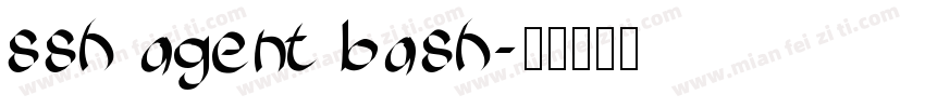 ssh agent bash字体转换